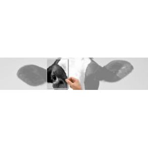 Sort/hvid printere