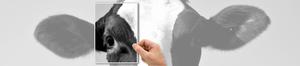 Sort/hvid printere